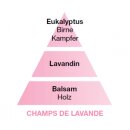 Lampe Berger Duft Champs de Lavande/ Lavender Field/ Blühender Lavendel 500ml