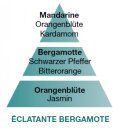 Lampe Berger Duft Eclatante Bergamote/ Radiant Bergamot/ Fruchtige Bergamotte 500ml