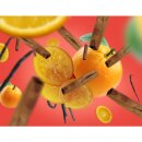Lampe Berger Duft Orange de Cannelle/ Orangen Cinnamon/ Genüssliches Orange Zimt Aroma 500ml