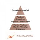 Parfum de Maison Petillance Exquise 500ml