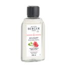 Maison Berger Nachfüller  für Duftbouquets Amour d´Hibiscus/ Hibiscus Love/ Eindrucksvoller Hibiskus 200 ml